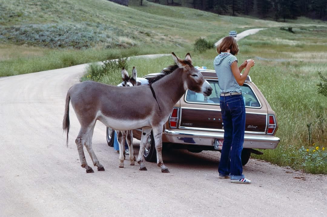 Vintage Photos Of Everyday Scenes In The 1950s-1970s - People And Their Cars 15 Screenshot 20260913 235554