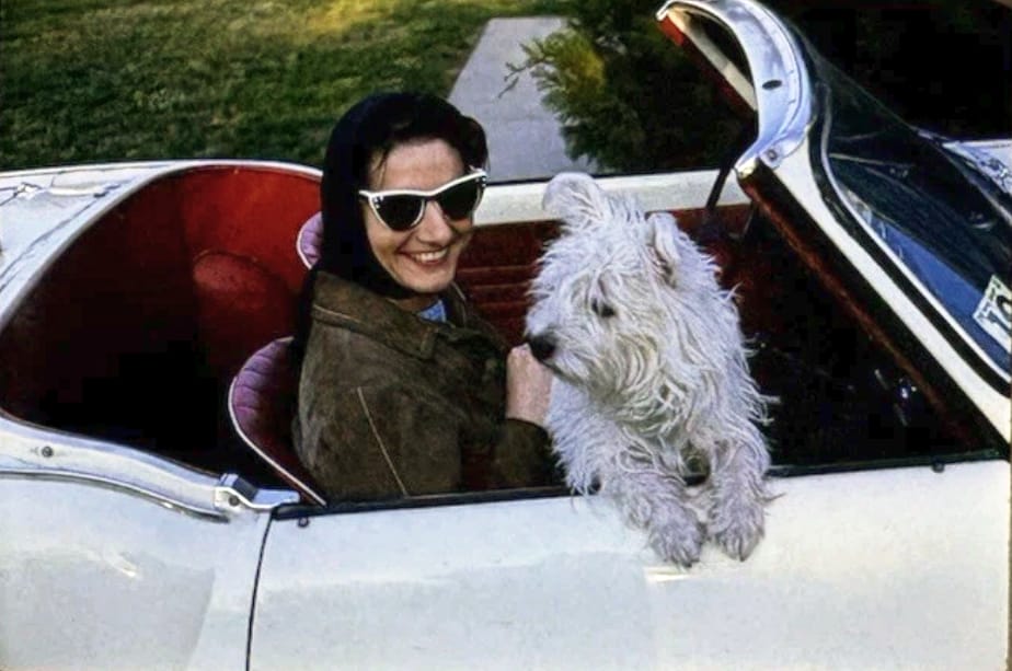 Classic Cars And Family Pets In Vintage Photos -- 1950s-1970s 10 Captura de pantallaa 2026 09 21 19.49.27