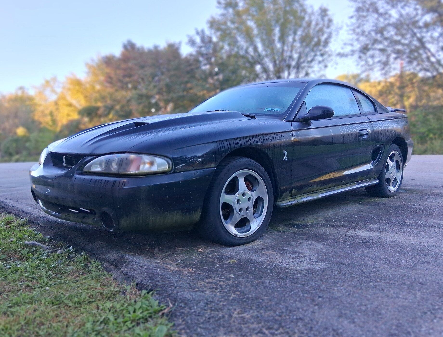 Driver front 3q picture of black 1996/7 Ford Mustang Cobra parked in a lot before a grove of trees with changing leaves