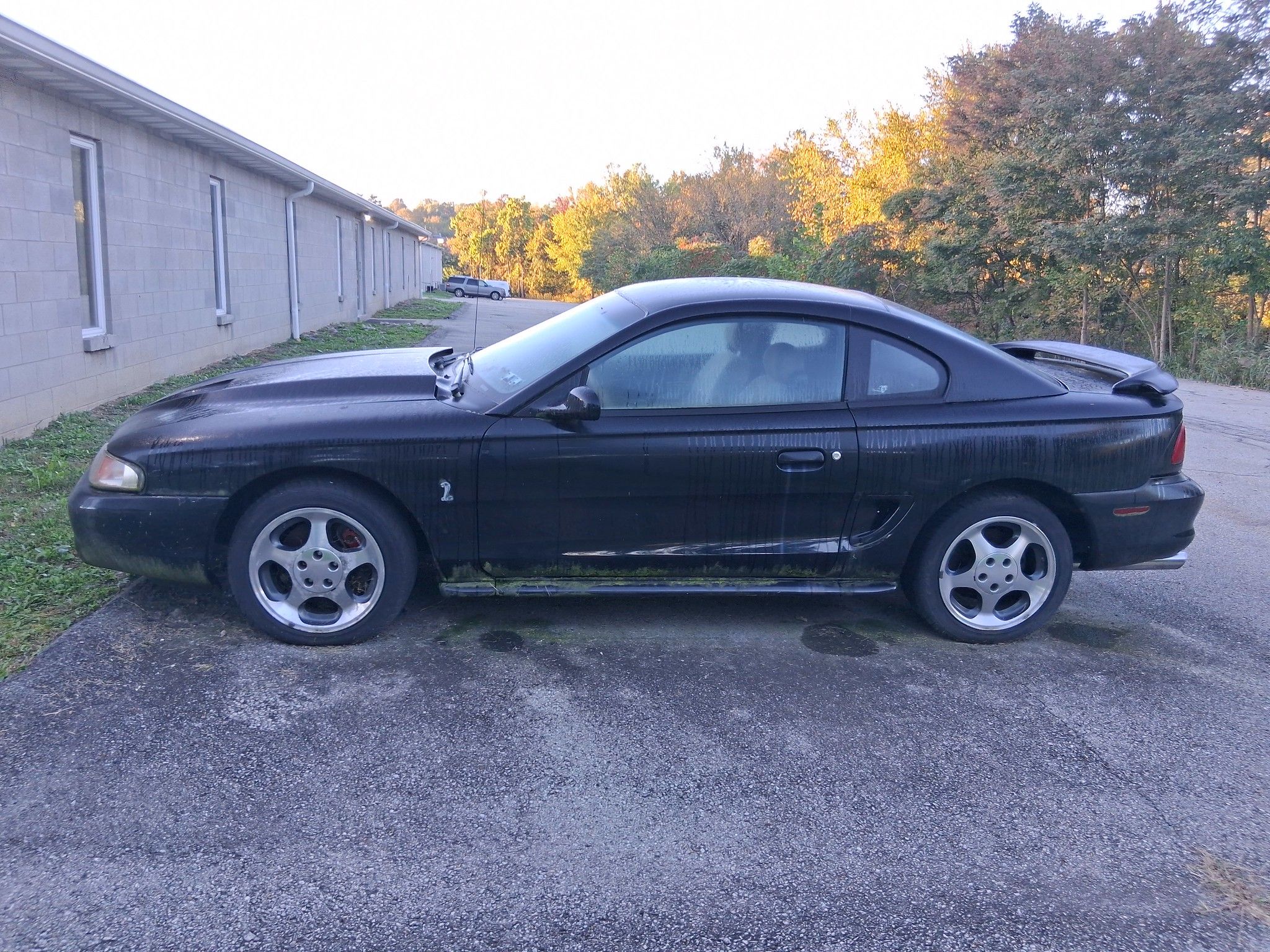 Driver side profile of black 1996/7 Ford Mustang Cobra