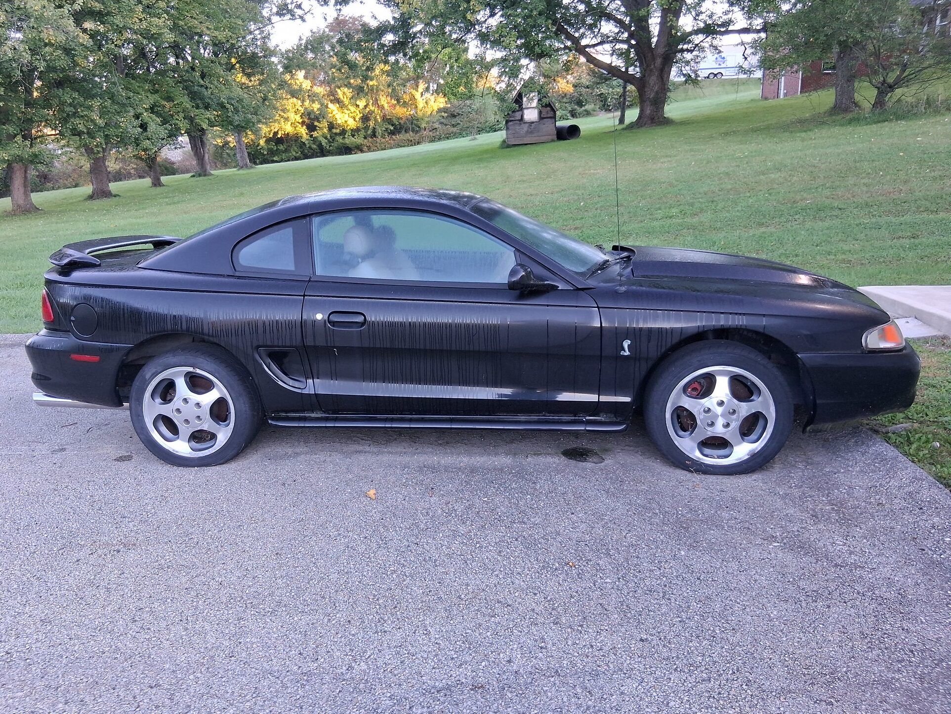 Passenger profile view of black 1996/7 Ford Mustang Cobra