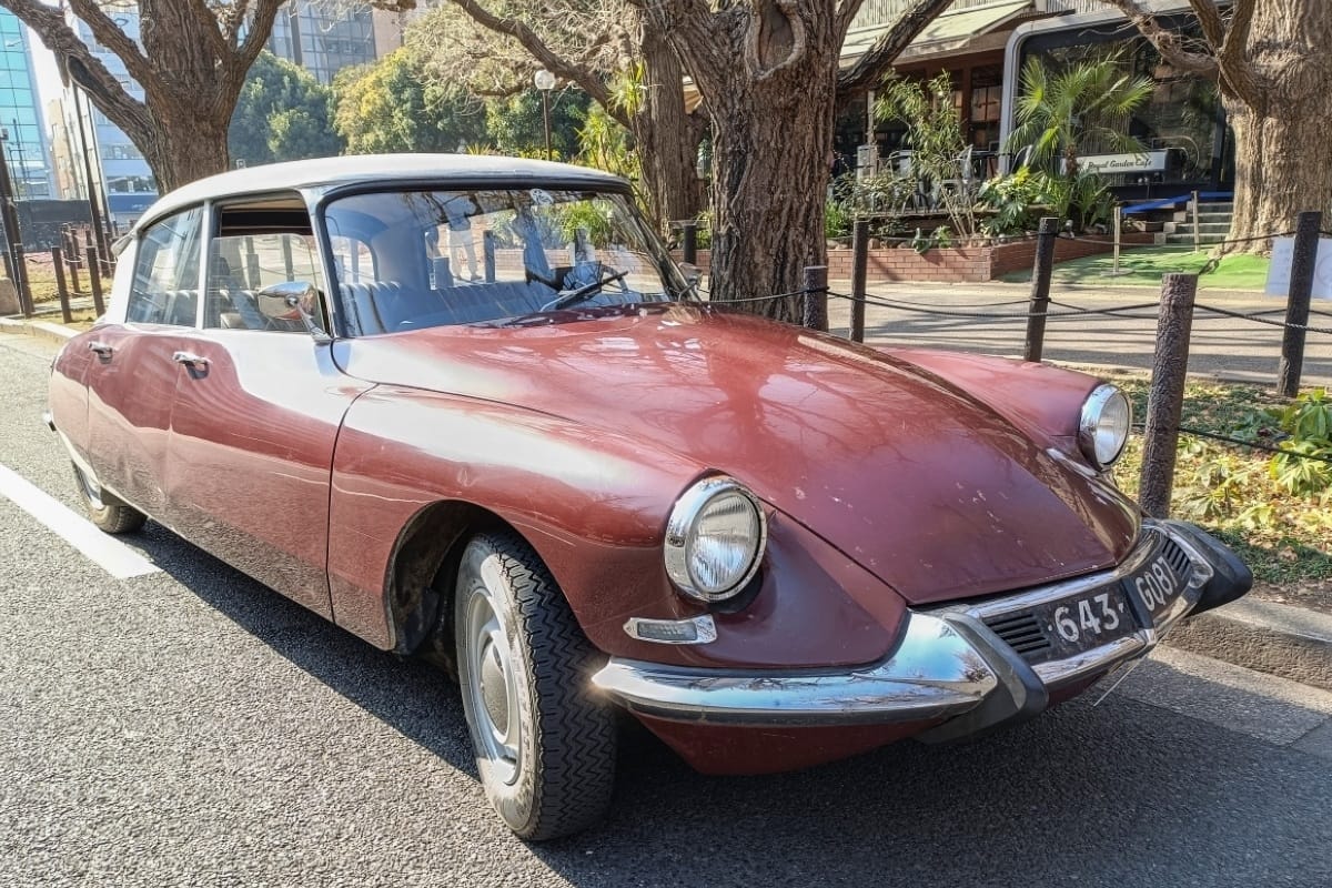 1966 Citroën ID 19 – The Stripper Goddess 2 IMG20260215100455 edited