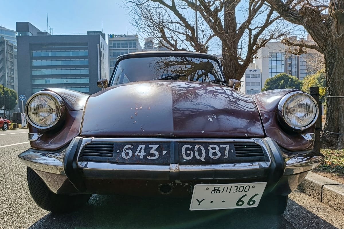 1966 Citroën ID 19 – The Stripper Goddess 7 IMG20260215100712 edited
