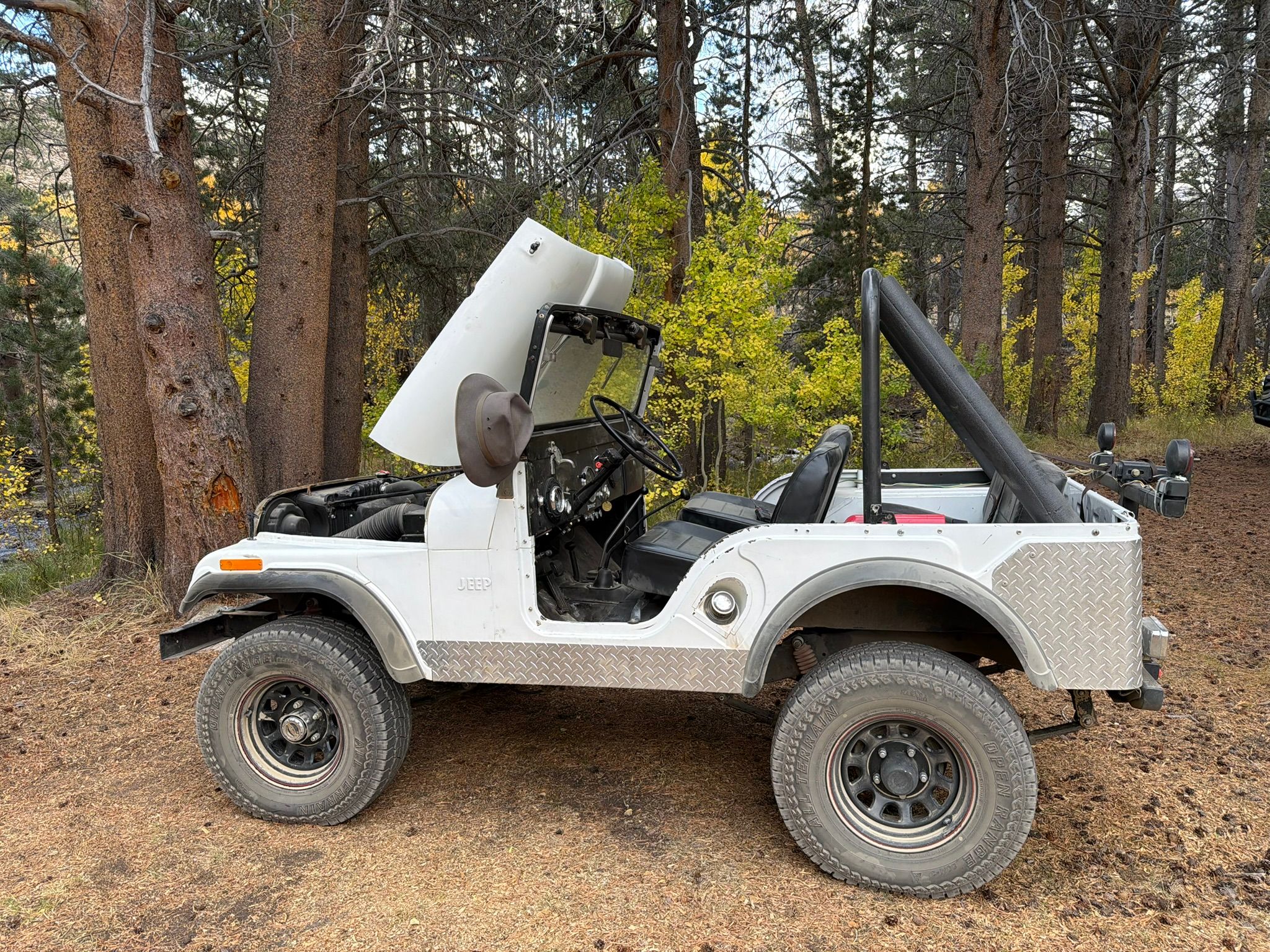 My New 1966 Jeep: The Highs And Lows Of A Week Jeeping In The Eastern Sierra - Two Failures Due To Plastic Parts 17 IMG 0702 1