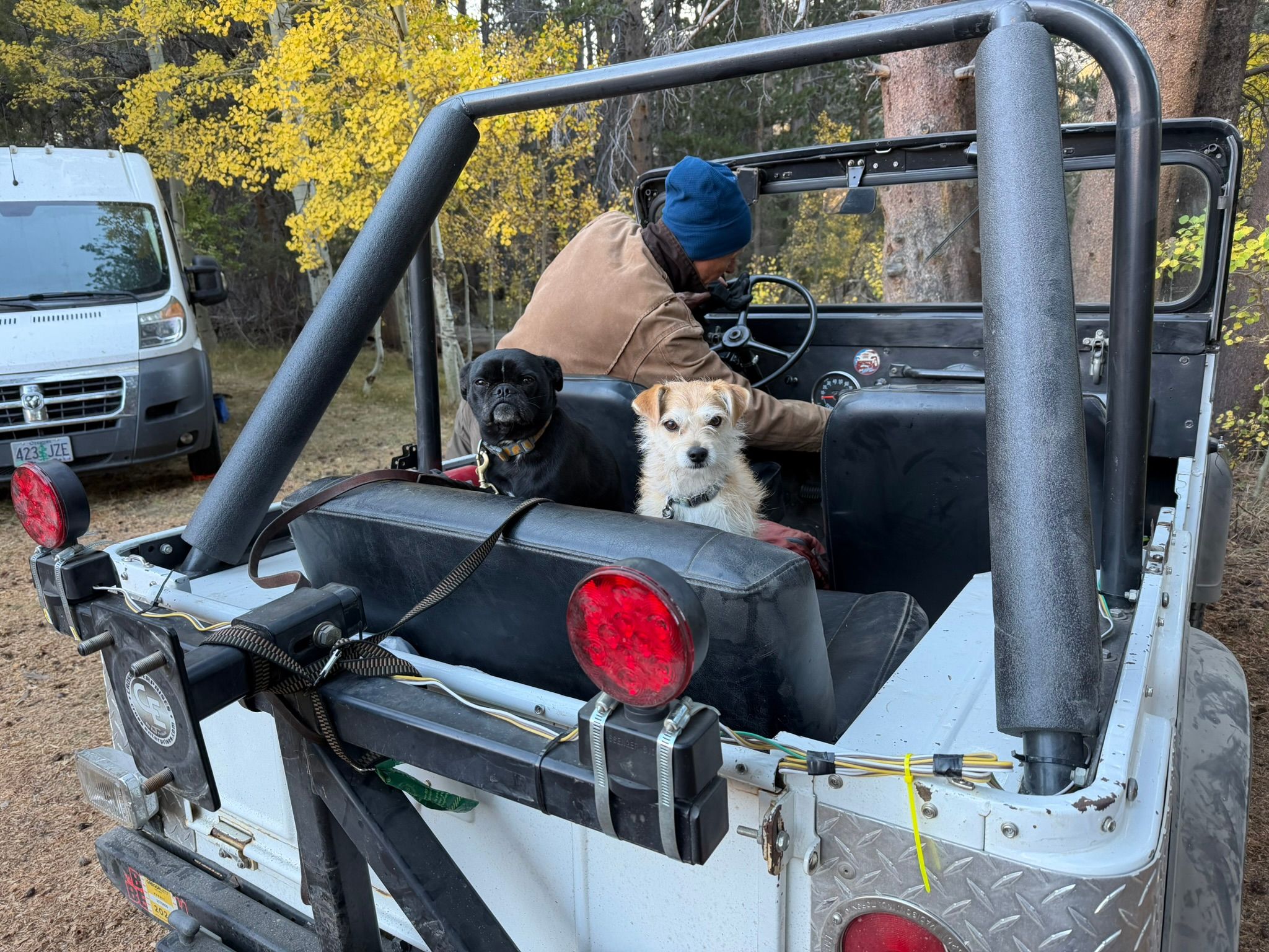 My New 1966 Jeep: The Highs And Lows Of A Week Jeeping In The Eastern Sierra - Two Failures Due To Plastic Parts 15 IMG 0724