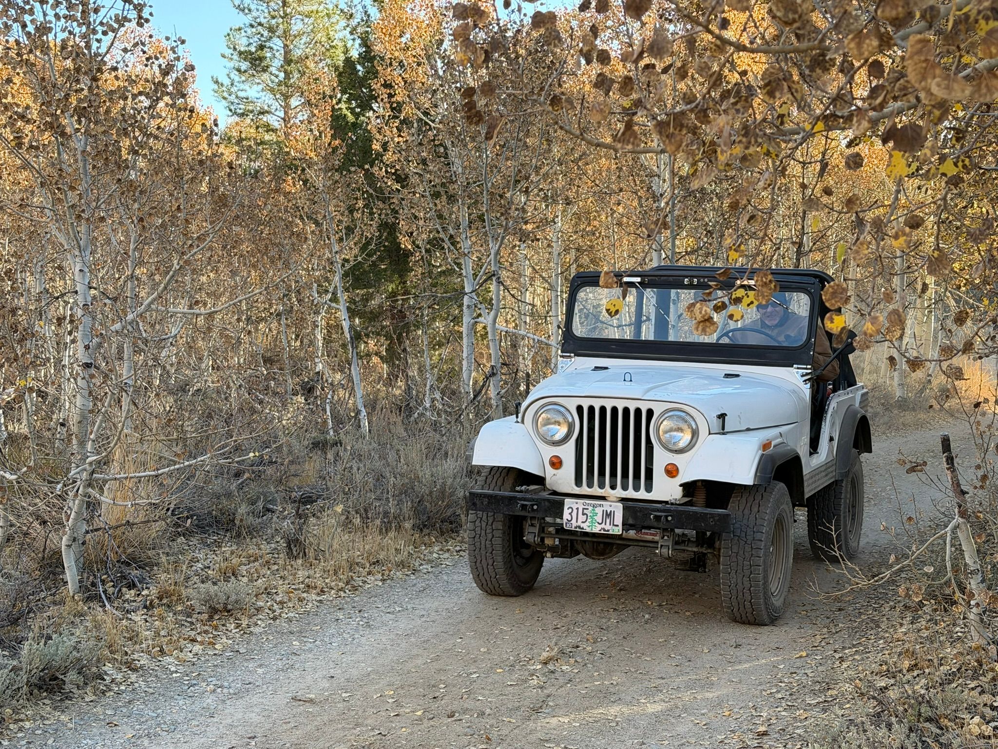 My New 1966 Jeep: The Highs And Lows Of A Week Jeeping In The Eastern Sierra - Two Failures Due To Plastic Parts 12 IMG 0745 1