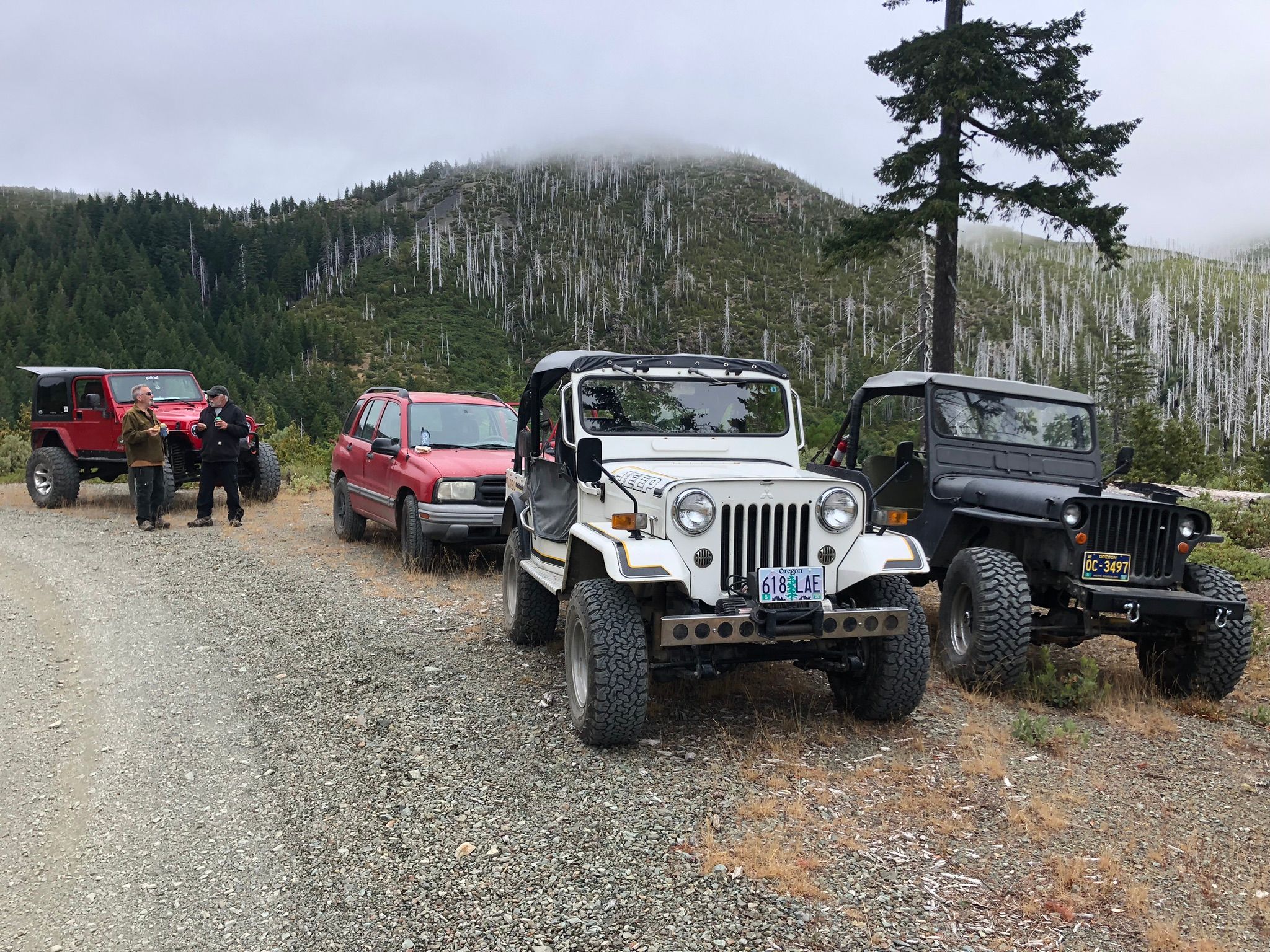 My New 1966 Jeep CJ-5 With F-Head 134 Four: Part 1 - "I'd Rather Drive Than Ride" 5 IMG 1421 1