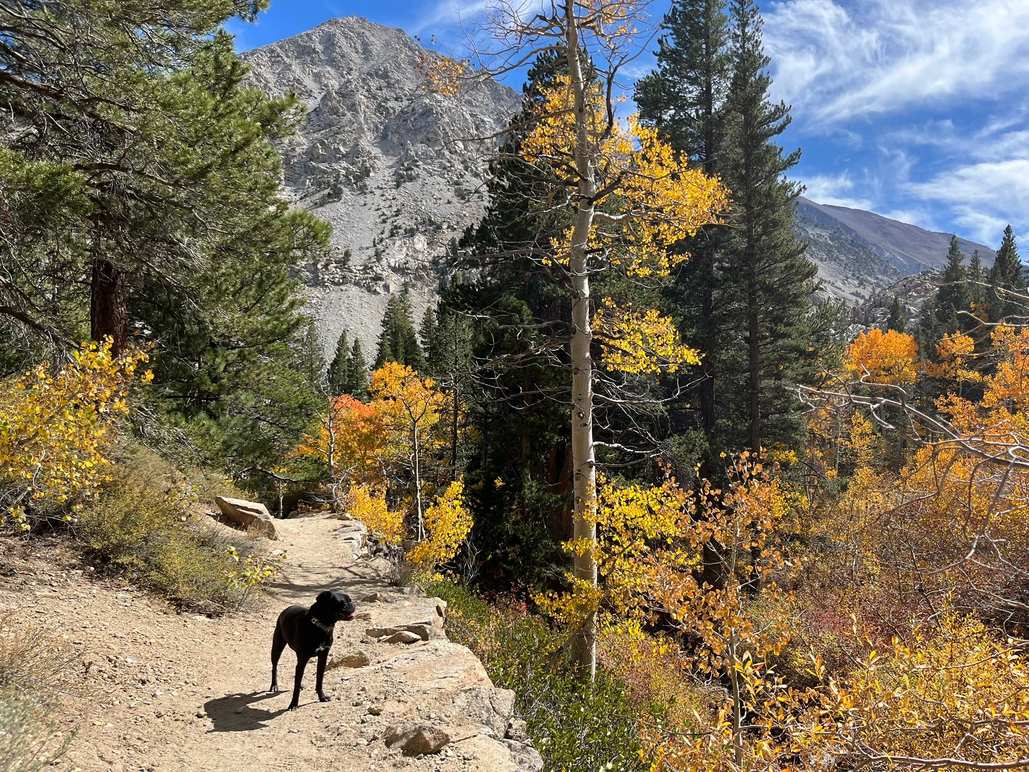 My New 1966 Jeep: The Highs And Lows Of A Week Jeeping In The Eastern Sierra - Two Failures Due To Plastic Parts 7 IMG 2287 1