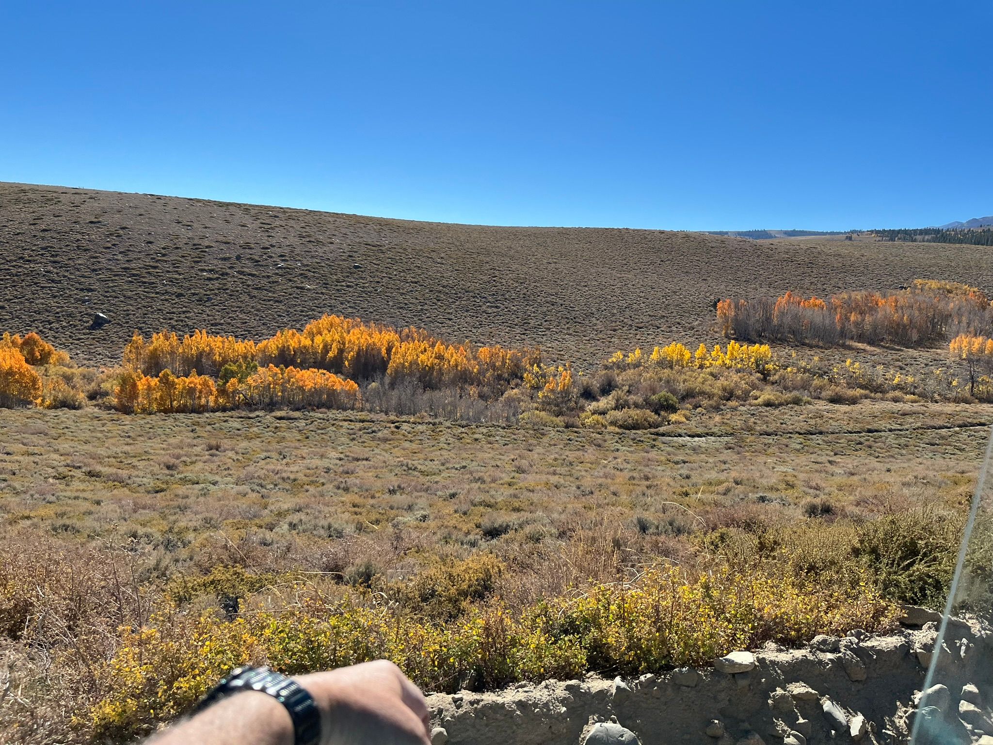 My New 1966 Jeep: The Highs And Lows Of A Week Jeeping In The Eastern Sierra - Two Failures Due To Plastic Parts 11 IMG 2306
