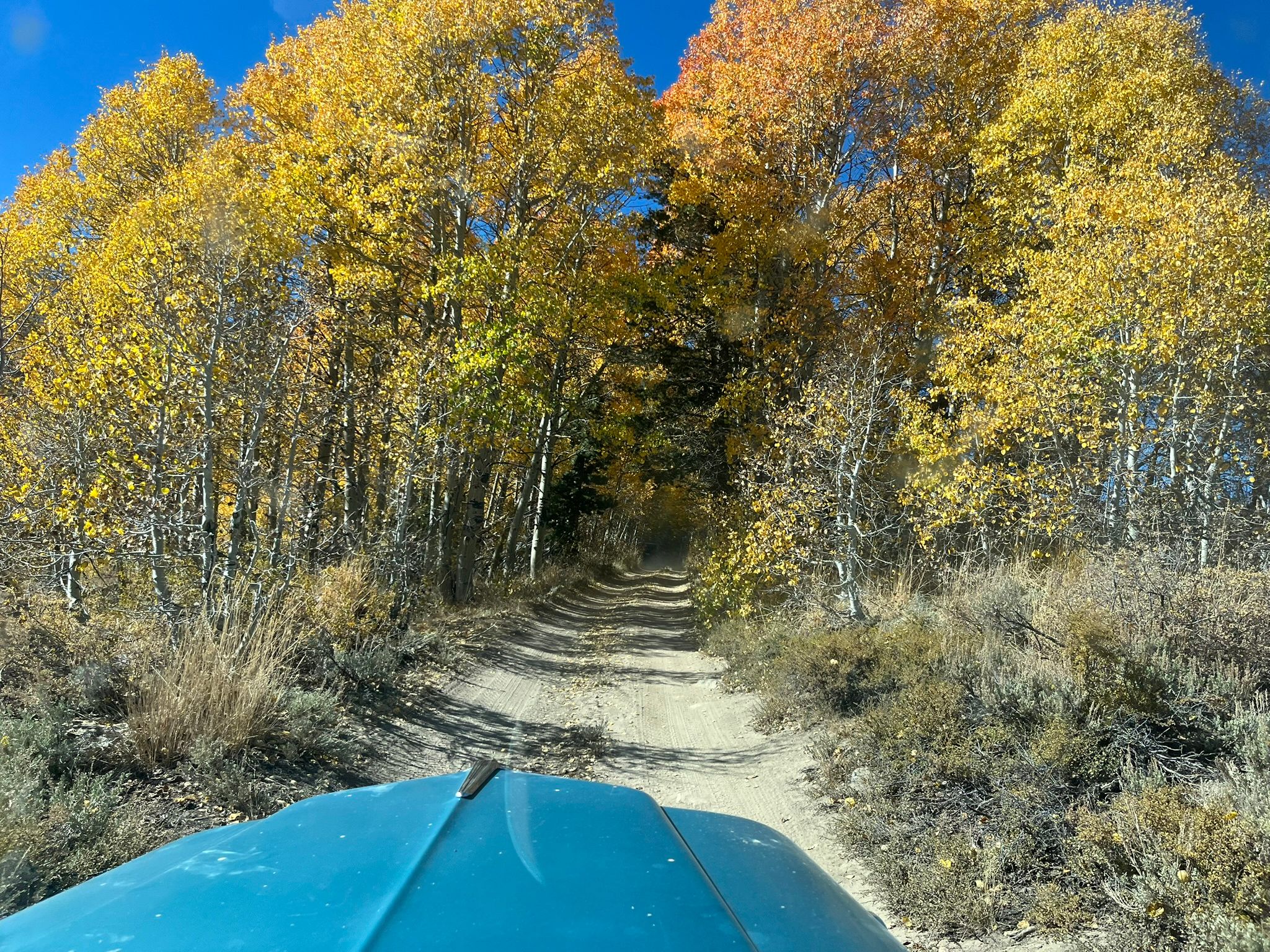 My New 1966 Jeep: The Highs And Lows Of A Week Jeeping In The Eastern Sierra - Two Failures Due To Plastic Parts 19 IMG 2309 1