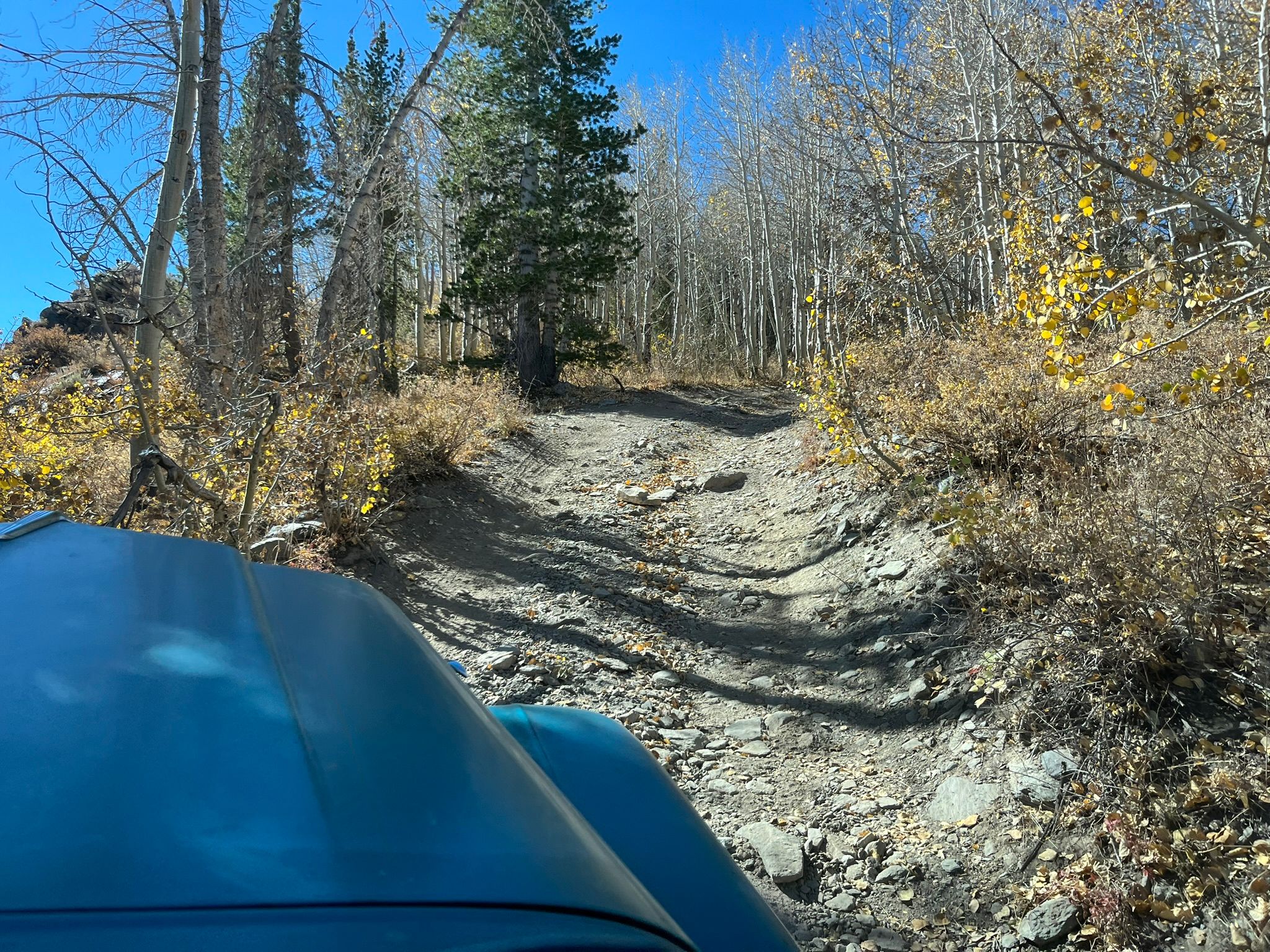 My New 1966 Jeep: The Highs And Lows Of A Week Jeeping In The Eastern Sierra - Two Failures Due To Plastic Parts 21 IMG 2311