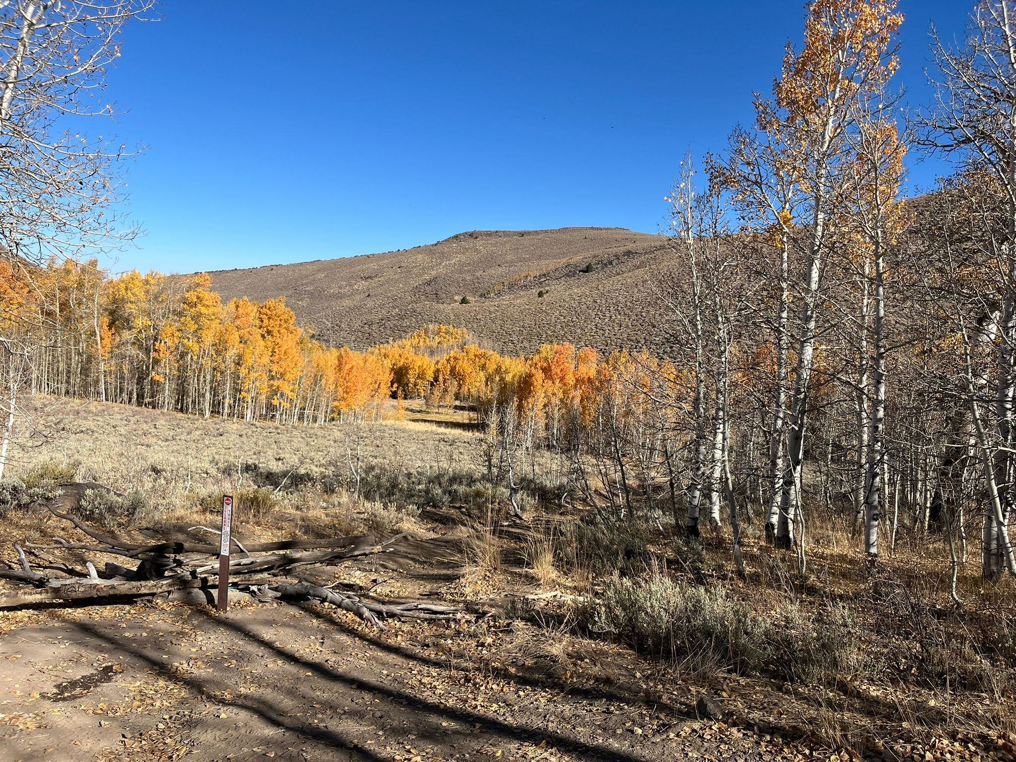 My New 1966 Jeep: The Highs And Lows Of A Week Jeeping In The Eastern Sierra - Two Failures Due To Plastic Parts 51 IMG 2433