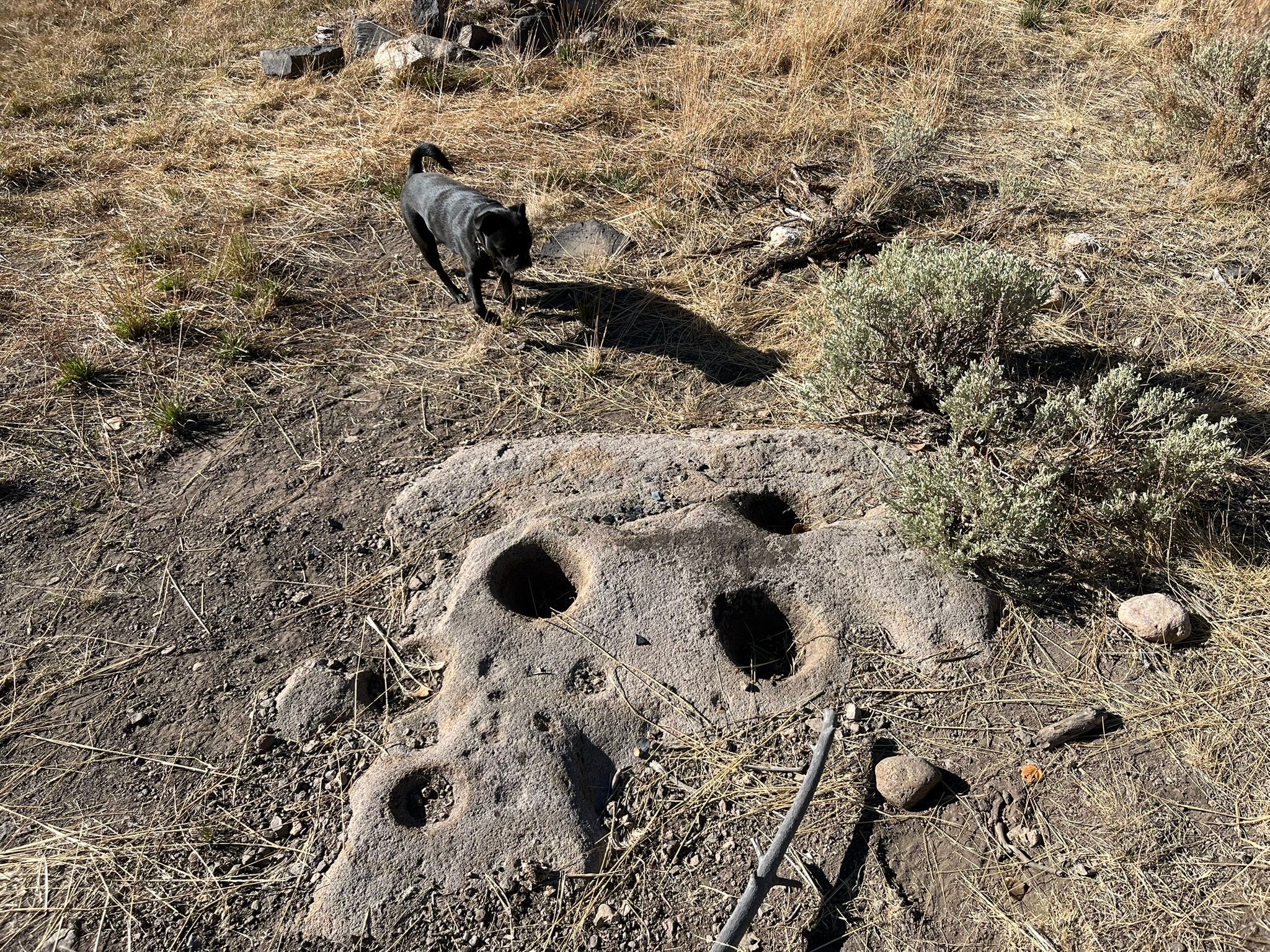 My New 1966 Jeep: The Highs And Lows Of A Week Jeeping In The Eastern Sierra - Two Failures Due To Plastic Parts 52 IMG 2435