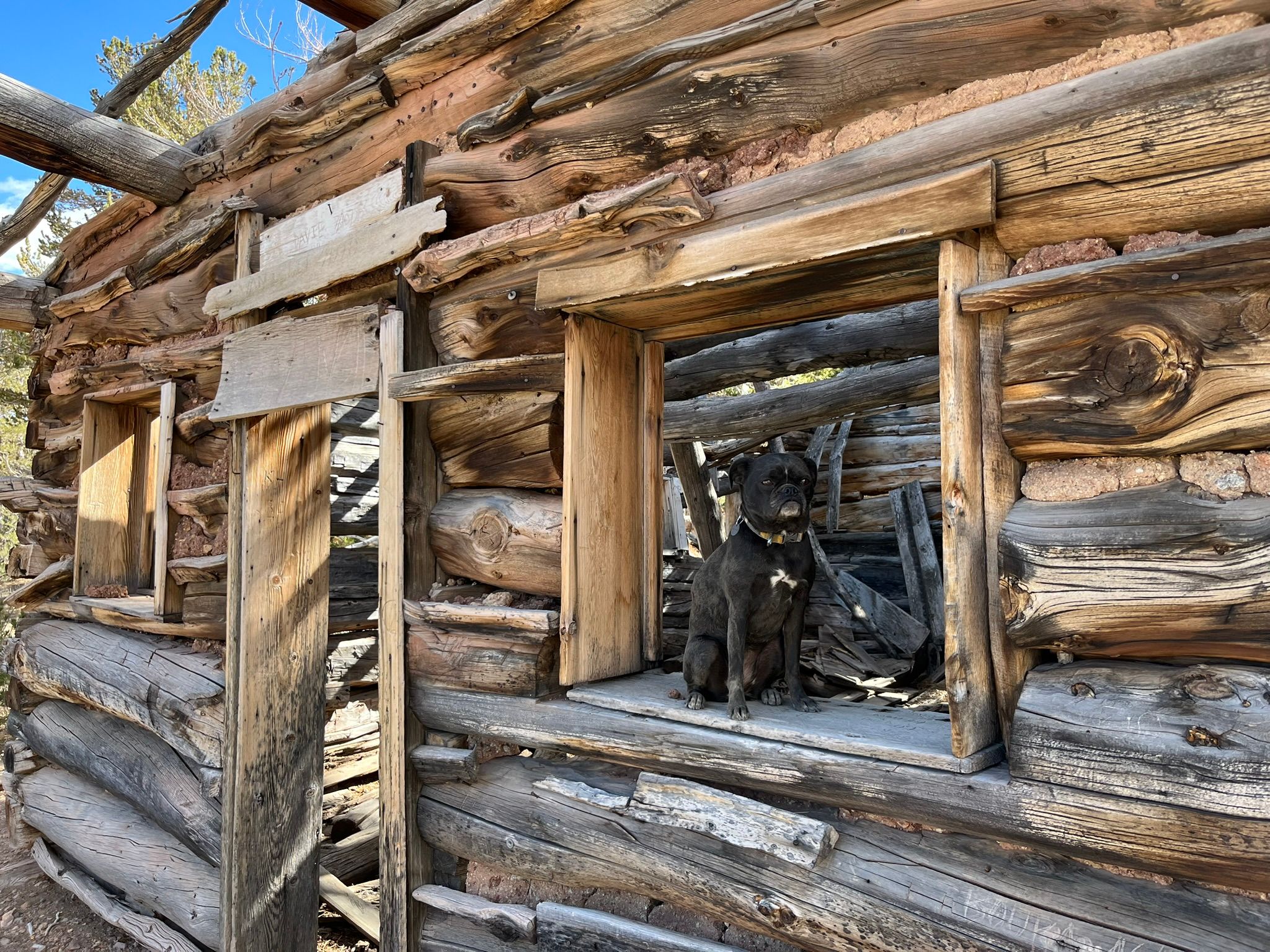 My New 1966 Jeep: The Highs And Lows Of A Week Jeeping In The Eastern Sierra - Two Failures Due To Plastic Parts 75 IMG 2523