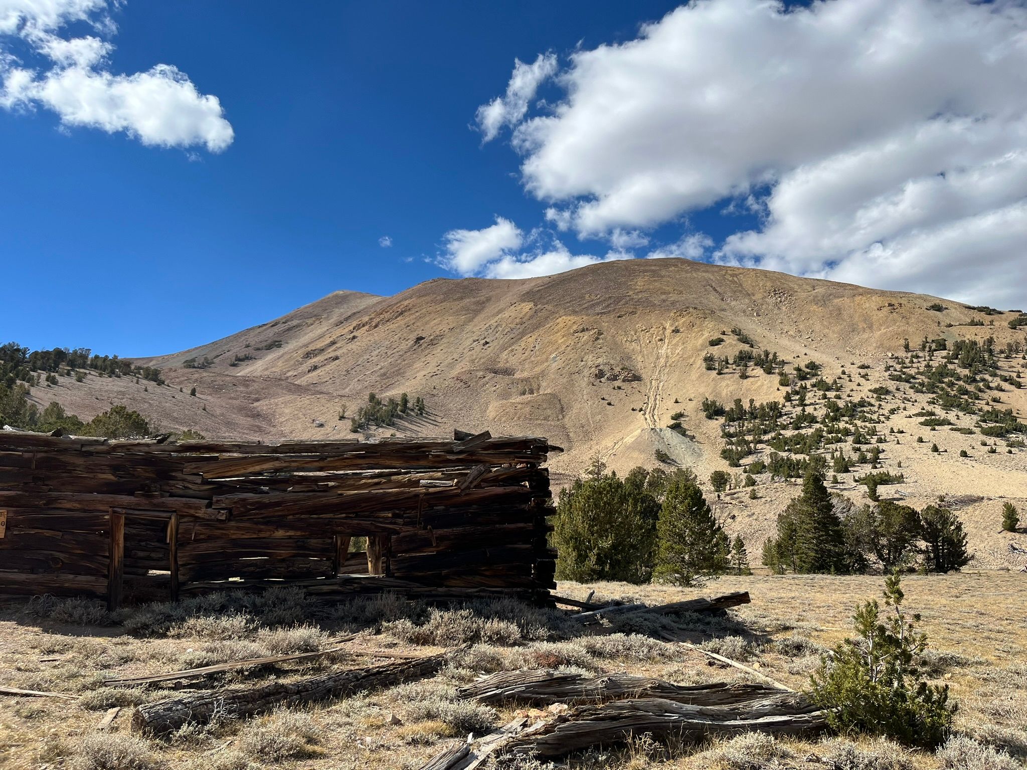 My New 1966 Jeep: The Highs And Lows Of A Week Jeeping In The Eastern Sierra - Two Failures Due To Plastic Parts 74 IMG 2537