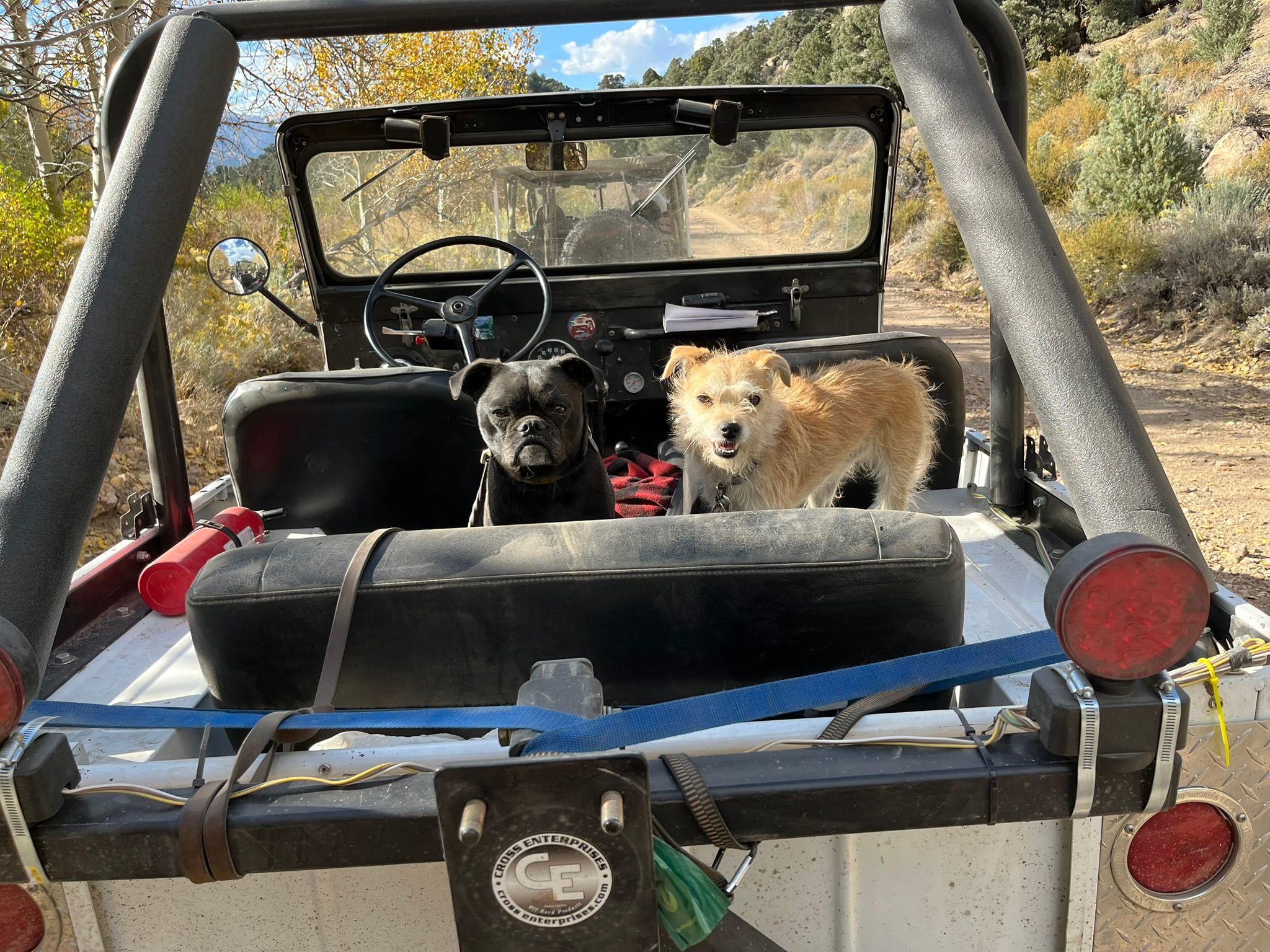 My New 1966 Jeep: The Highs And Lows Of A Week Jeeping In The Eastern Sierra - Two Failures Due To Plastic Parts 83 IMG 2555