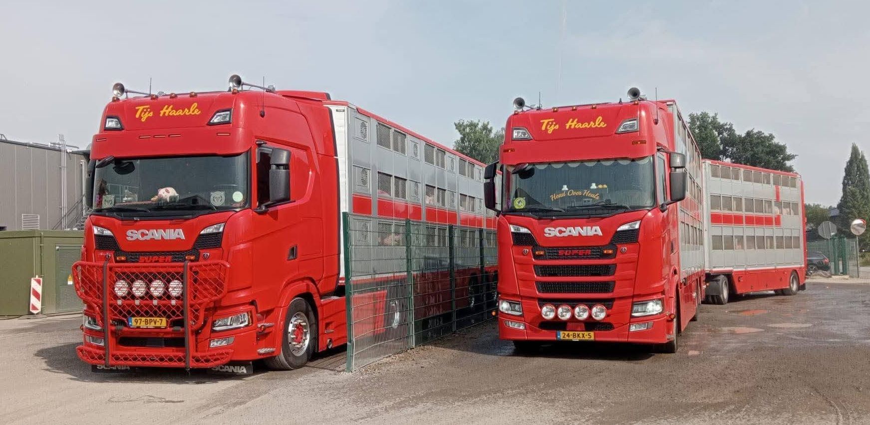 2018 Scania S500 6x2*4 Livestock Truck - A Triple-Decker With a Liftable Roof 5 Tijs Haarle - 2018 Scania S500 truck and 2020 Scania S450 tractor for hauling livestock