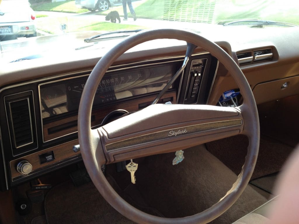 QOTD: eBay Edition - Malaise Era Coupes 19 76Skylark3