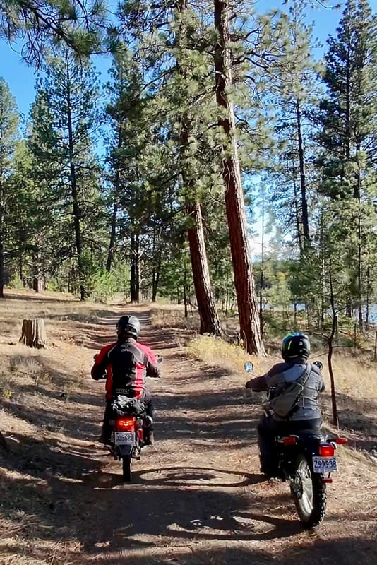 Turning 60 On Two Wheels – Part 3: 2025 Yamaha XT250 And Honda Trail 125, At The Kettle Valley Railway 30 IMG 2026
