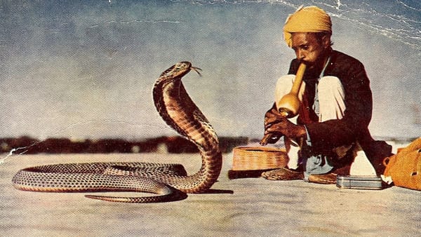 COAL Hunting: Beware Of Wildlife 1 SNAKECHARMER 1