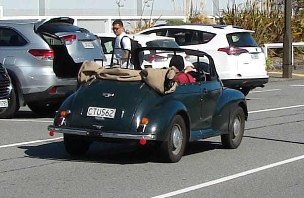 DSC00284