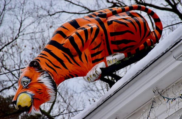 Automotive Product Mascots - Fuel and Vehicles (Part 2) 2 rooftiger