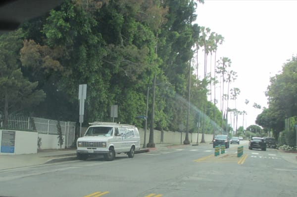 IMG 0680