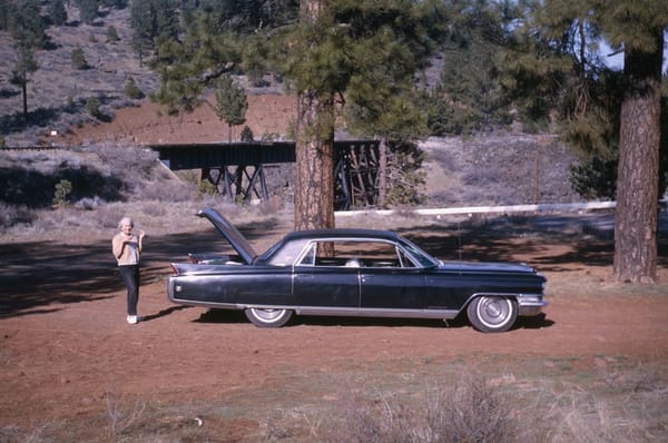 Vintage Snapshots: Cadillac People In The '60s -- Fins For The Sixties! 4 8727370891 8aff5b8432 b
