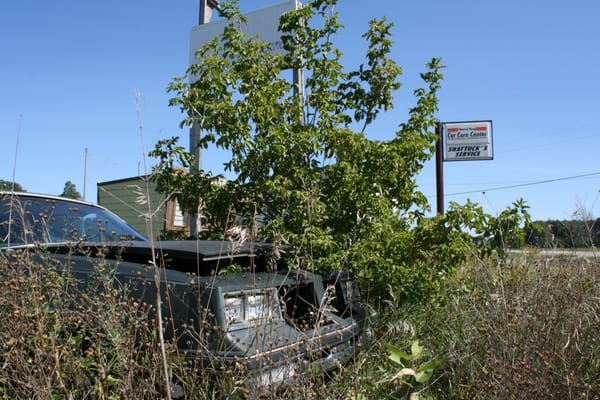 Roadside Classics: A September Trek To Northern Michigan 7 036 Shattucks Service CC