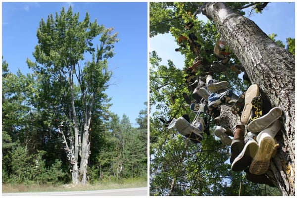 Roadside Classics: A September Trek To Northern Michigan 2 Leetsville Shoe Tree CC