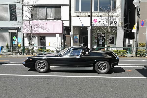 IMG 20220223 113427 copy