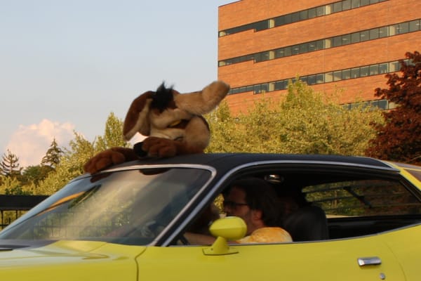 1971 Plymouth Road Runner. Downtown Flint, Michigan. Saturday, August 15, 2015.