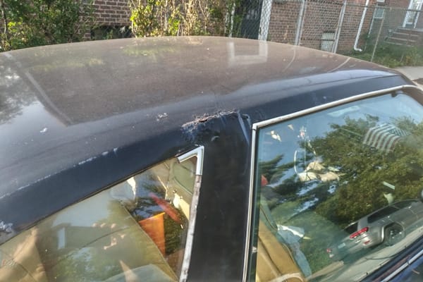 Curbside Time-Lapse: 1977 Oldsmobile Cutlass 442 - Crudful Extreme 16 IMG 20190712 0741276