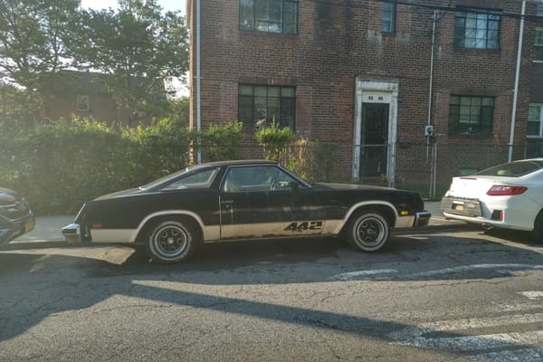 Curbside Time-Lapse: 1977 Oldsmobile Cutlass 442 - Crudful Extreme 5 IMG 20190712 0741432