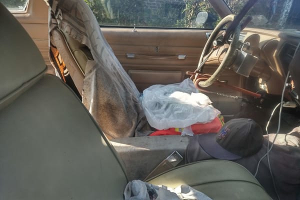 Curbside Time-Lapse: 1977 Oldsmobile Cutlass 442 - Crudful Extreme 20 IMG 20190712 0742137
