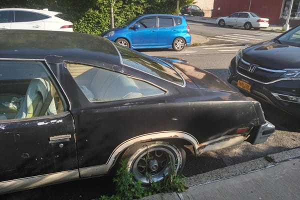 Curbside Time-Lapse: 1977 Oldsmobile Cutlass 442 - Crudful Extreme 15 IMG 20190712 0744240