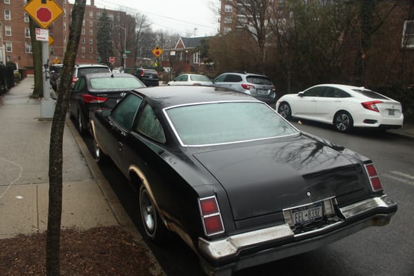 Curbside Time-Lapse: 1977 Oldsmobile Cutlass 442 - Crudful Extreme 12 IMG 6978