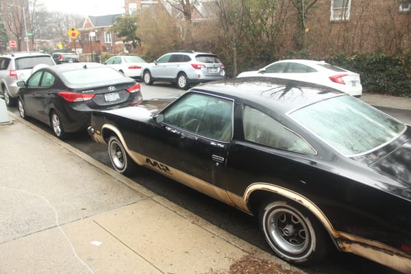 Curbside Time-Lapse: 1977 Oldsmobile Cutlass 442 - Crudful Extreme 11 IMG 6983