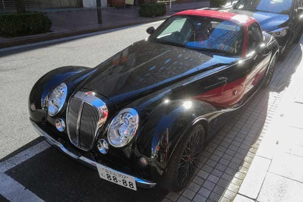 CC Capsule: 2017 Mitsuoka Himiko Ran – Chutzpah 8 IMG 20221225 135531 edited