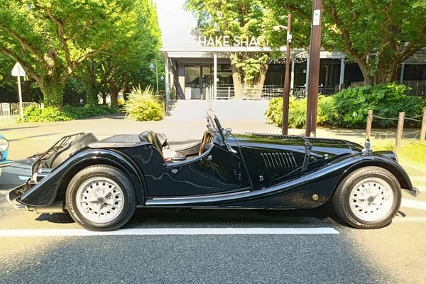 T87’s Singles Collection, Spring 2025 Edition – Part 3: Italian, British & Swedish Cars 75 IMG20250629080351 edited