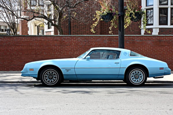 1977 Pontiac Firebird Esprit Sky Bird. Lakeview, Chicago, Illinois. Sunday, October 31, 2010.