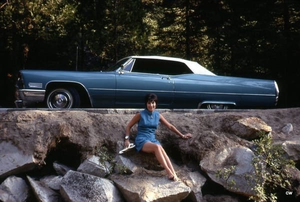 Vintage Snapshots: Cadillac People In The '60s -- Fins For The Sixties! 9 tumblr aa0c93aa9e5386b0c4702baf89211c70 b1925063 1280
