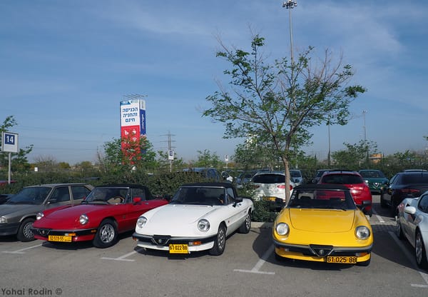 Type 105 Alfa Romeo Spider