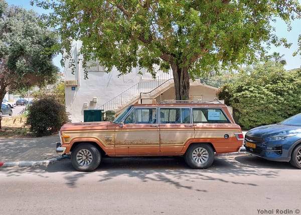 1983 Brown Jeep Wagoneer