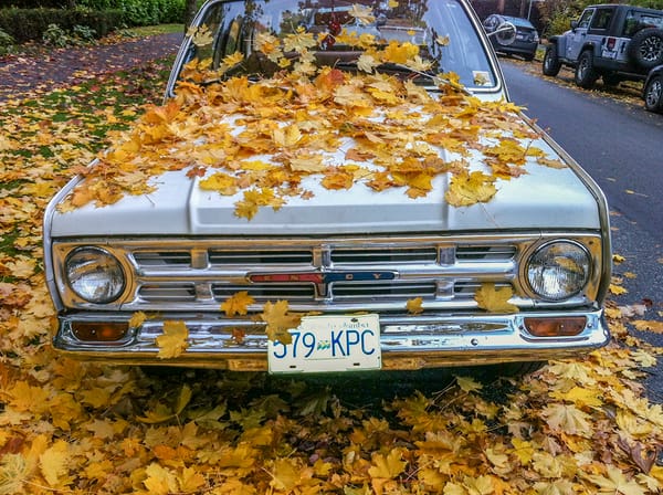 Curbside Classic: 1965(ish) Envoy Special - Don't Mention the Vauxhall! 2 Vauxhall Envoy Front