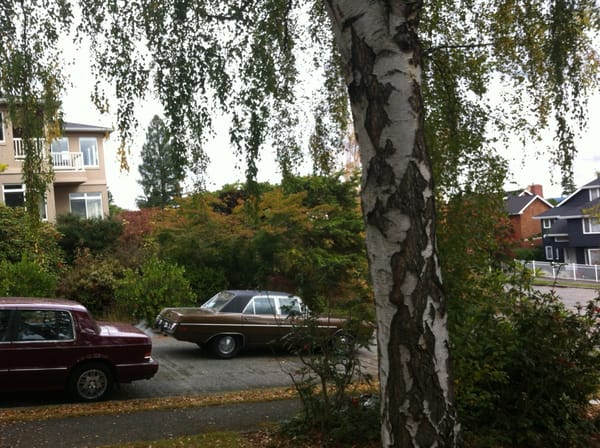 COAL: 1973 Dodge Dart - Border? I Almost Lost 'er! 39 73 Dart 3495