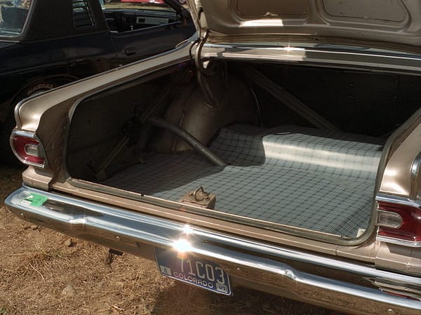 COAL: 1965 Valiant, Part IV - Self-Own Service and Naming Names 24 Dvaliant trunk