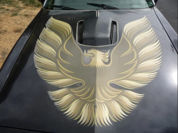 Curbside Classic: 1971 Pontiac Firebird Esprit - From Pony Car To Chicken Car 23 Pontiac Firebirdt 1979 hood