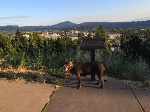 Skinner Butte Outtakes: Air Heads and Pot Heads 7 CC 296 084 1200