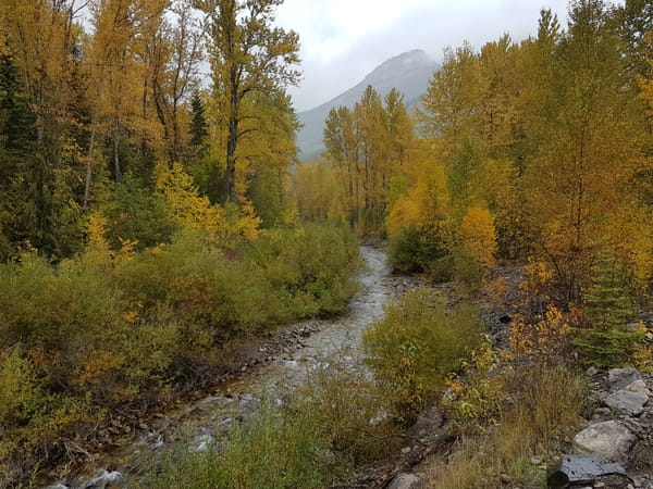 fall
